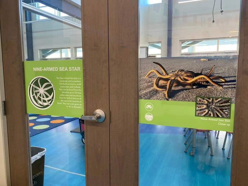 An image of the door graphics.